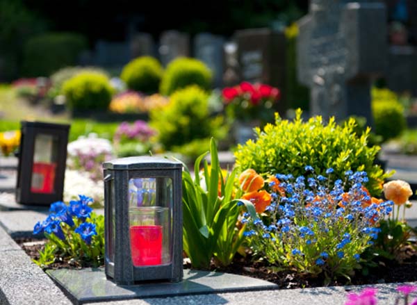 Цветы Посадить На Кладбище Многолетние С Фото