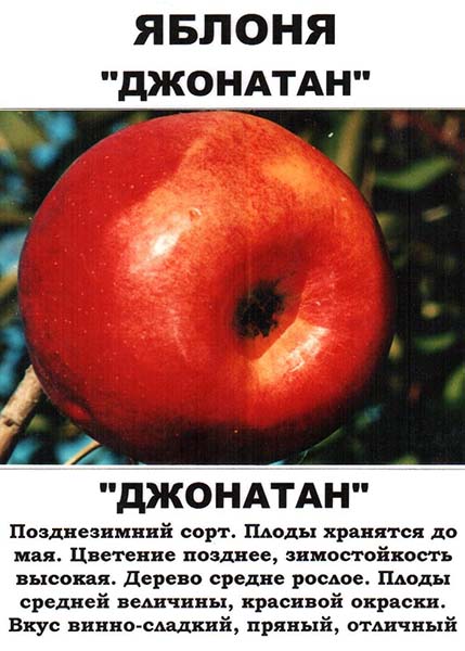 Лечение яблони народными средствами