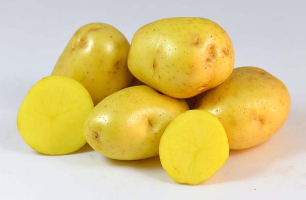 Желтые сорта картофеля (с желтой мякотью и кожурой): описания и фото