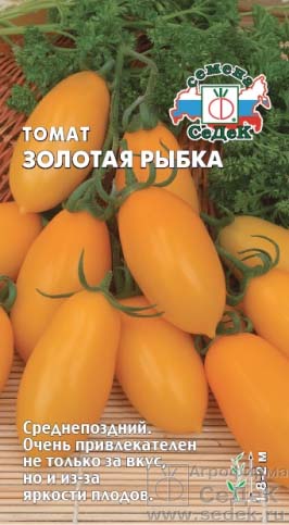 Лучшие оранжевые сорта томатов: посадка и уход
