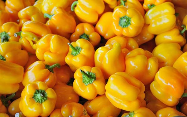 Оранжевые и желтые сорта сладкого перца: топ-30 лучших - их описания,характеристики и фото
